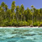 Tahitian Motu